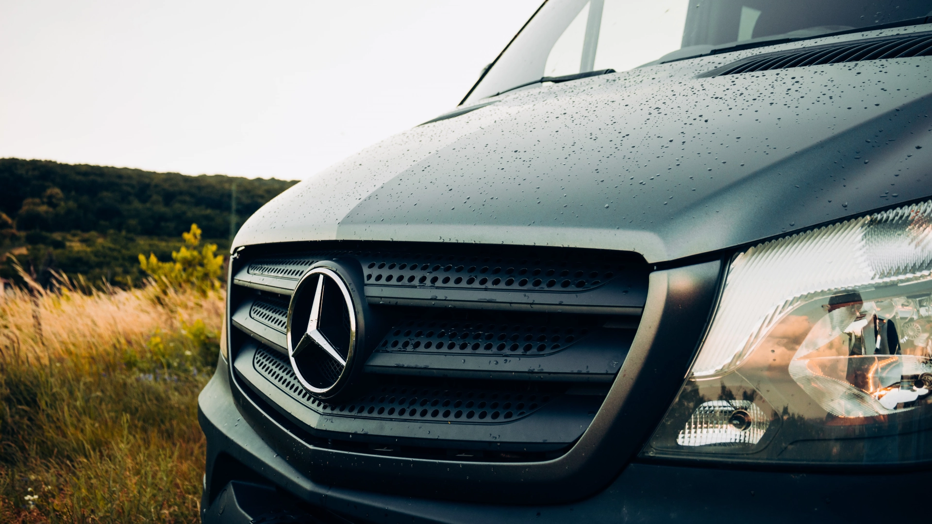 BEAST exterior image