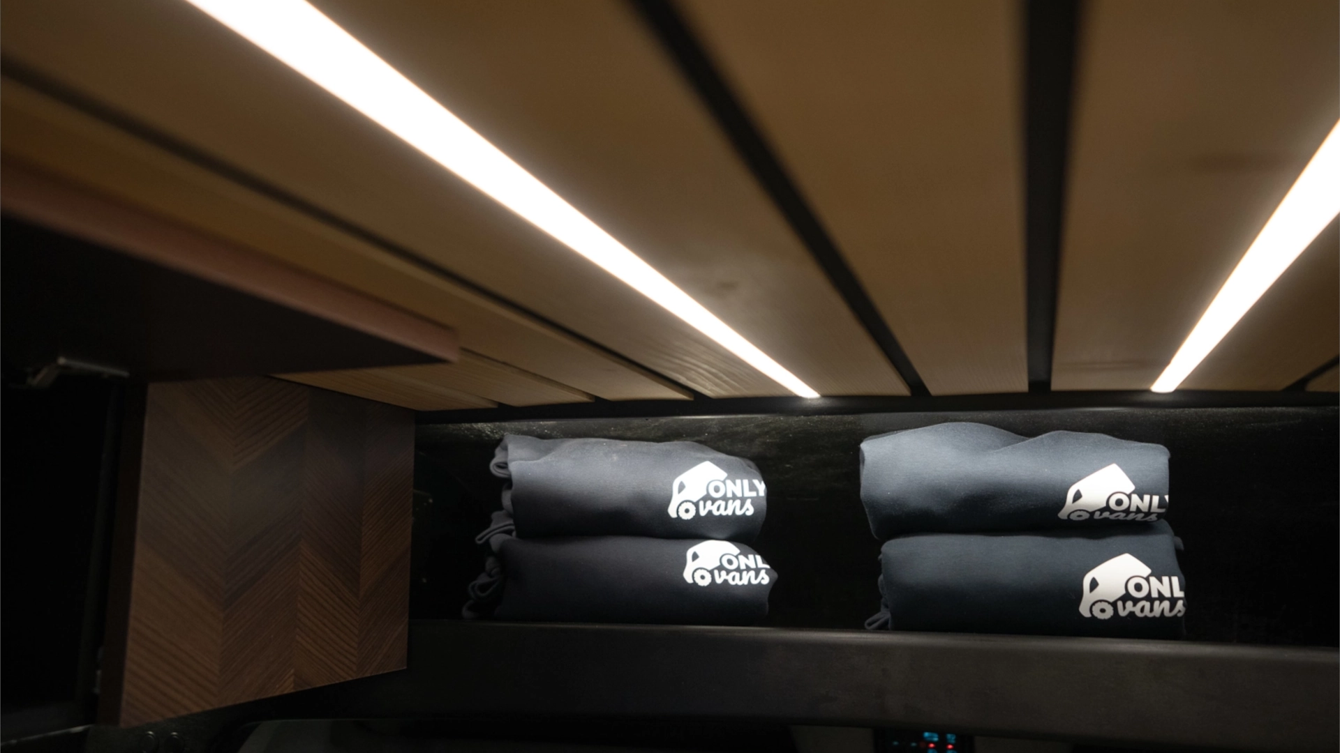 BEAST interior image